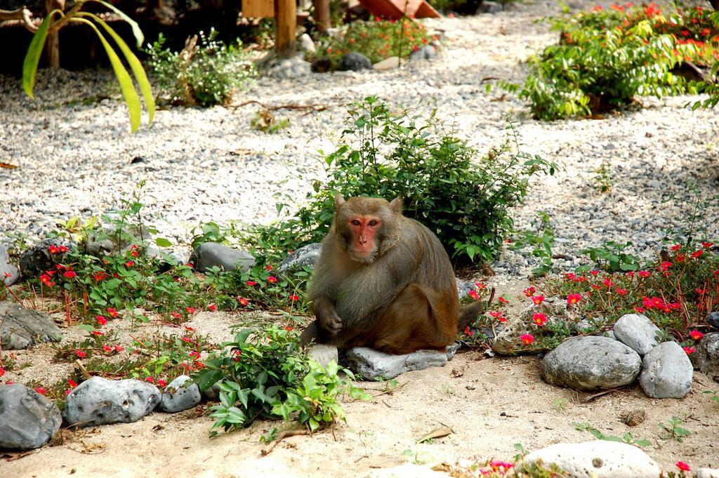 Monkey Island Resort Cat Ba Island Екстер'єр фото